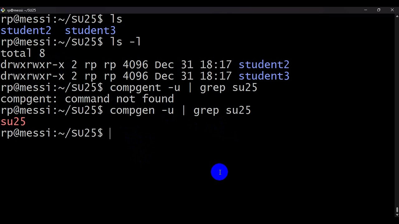 Set permission with chmod and chown