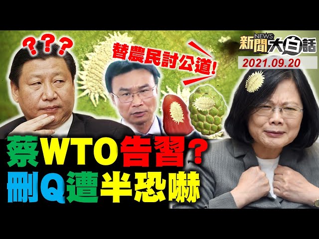 蔡英文:譴責中國 要去WTO告習近平? 網譏陳吉仲尊重紐國禁芒果卻嗆陸擋釋迦蓮霧! 蔡抗中保台 漢光結束隔天5兵酒駕汰除! 罷陳柏惟志工控遭“半恐嚇”! 新聞大白話 完整版 20210920