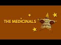 The medicinals  love the sound  studio  2023