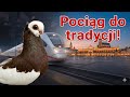 To żywy skarb narodowy! Dlaczego nikt o tym nie mówi?