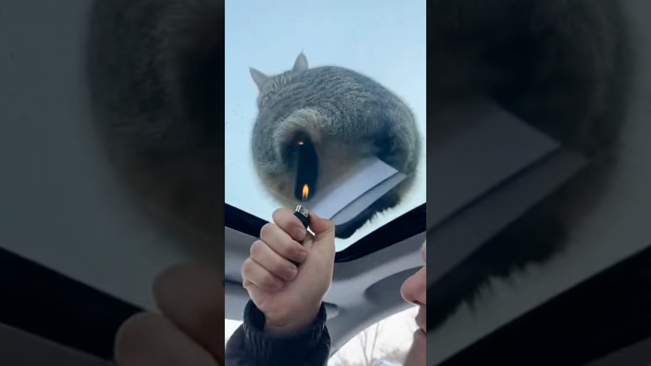 «Чувак сел так, будто машина его собственность». 