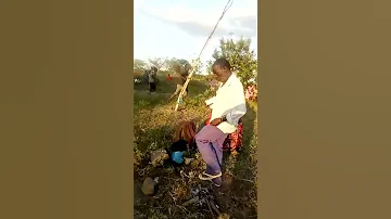 Ngoma Za Asili 