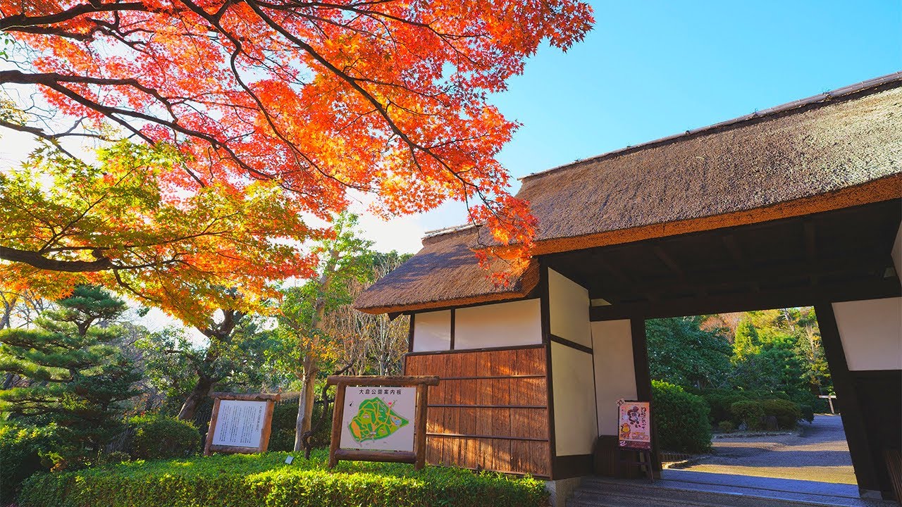 2021年 大倉公園の紅葉 YouTube