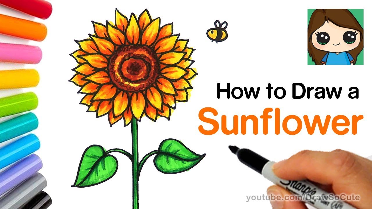 How To Draw Sunflower Easy Step By Step | Nature Drawing Lesson 5 |  Realistic Flower with Pencil - YouTube