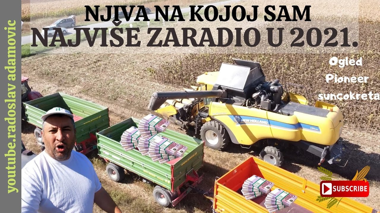 NJIVA NA KOJOJ SAM NAJVIŠE ZARADIO U 2021. Ogled suncokreta; THE FIELD I EARNED THE MOST IN 2021.