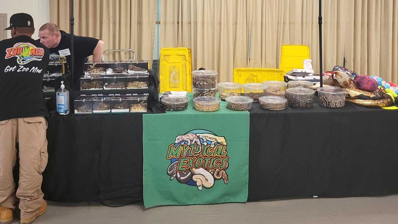 New England Reptile Expo YouTube