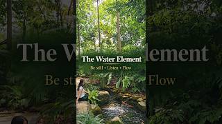 Begin with Water | Five Elements &amp; #EMYoga at Singapore Botanic Gardens