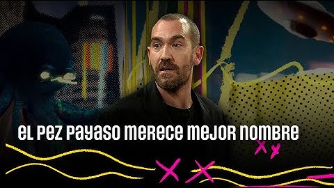 LA REVUELTA - El pez payaso merece mejor nombre | #LaRevuelta 05.02.2025
