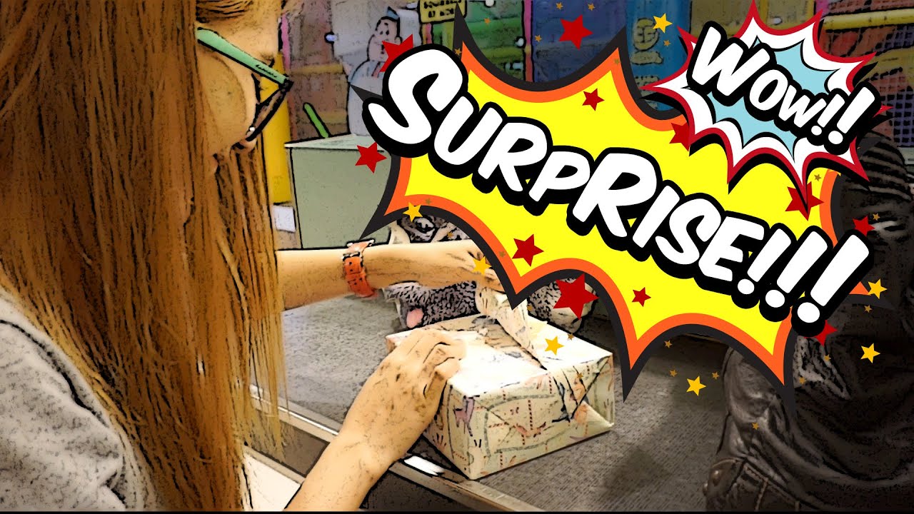 BEST SURPRISE GIFT EVER!!! *English Subbed* VLOG 1 YouTube