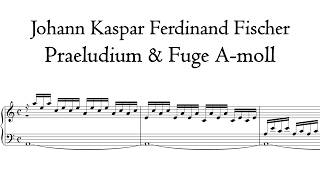 Fischer - Praeludium & Fuge A-Moll / A Minor - Schnitger organ, Norden, Hauptwerk