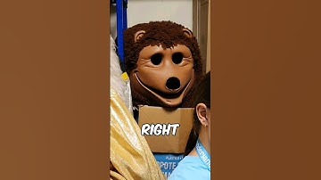 FNAF di Belakang Panggung Kehidupan Nyata yang Menakutkan...