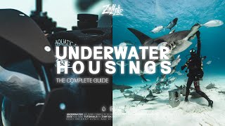 Complete Guide to Underwater Housings (Aquatica vs Sea Frogs vs Ikelite)