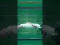 This gun is crazy in a good way