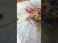Beautiful sounds of painting #painting #flowers #art #interior #artist #homedecor #interiordesign