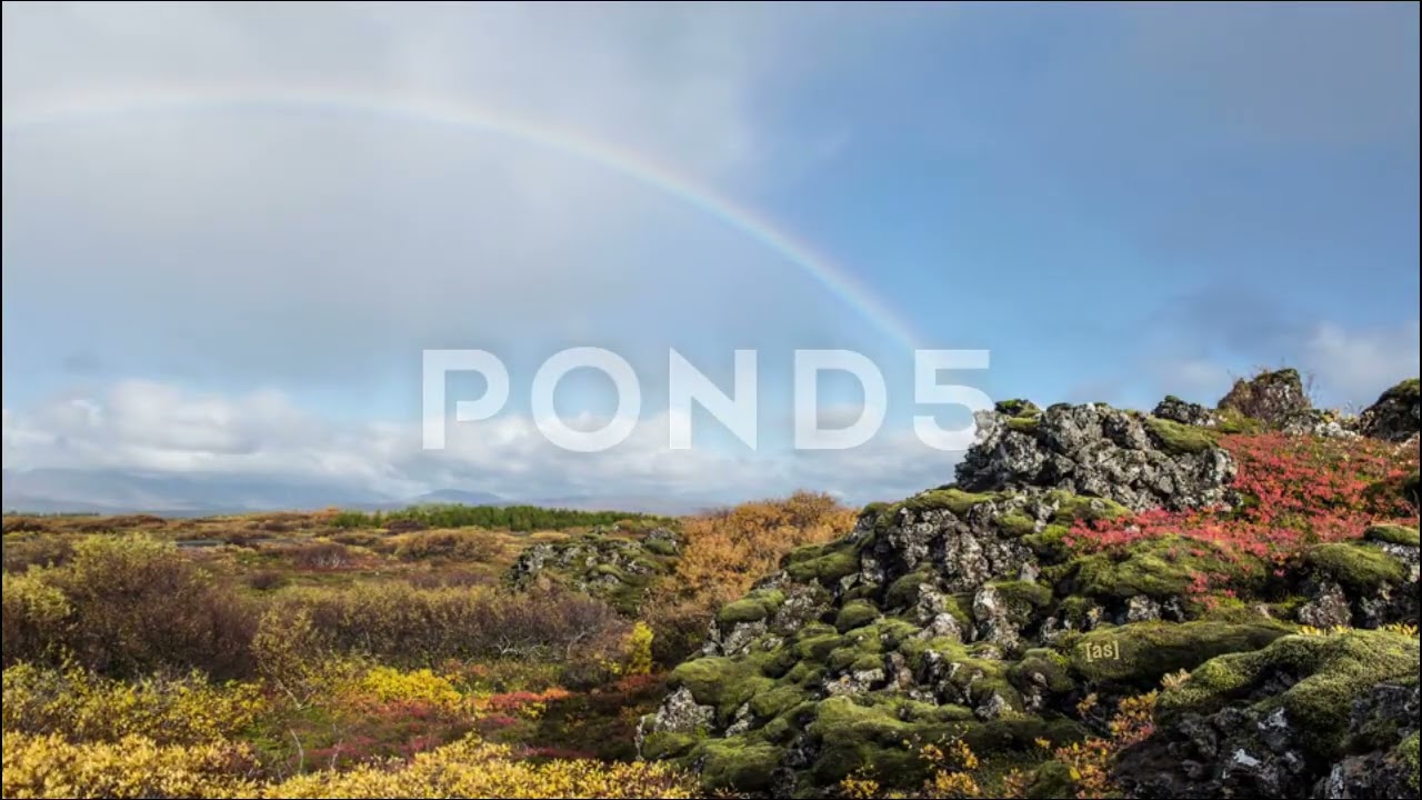 Adult Swim Bump Fanmade: Jessy Lanza - Keep Moving