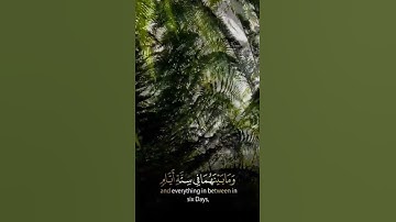 🌱 وتوكل على الحي الذي لا يموت 🌱القارئ الشيخ عبد العزيز الفقيه | وما تيسر من سورة الفرقان.