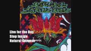 Video thumbnail of "Live for the Day | Natural Incense"