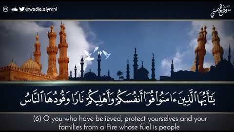 تلاوة من سورة التحريم القارئ وديع اليمني