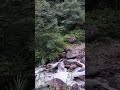 Relax Your Mind with Mountain Water Sounds 🍃 #natureshorts #villagerlifestyle #peacefulnature