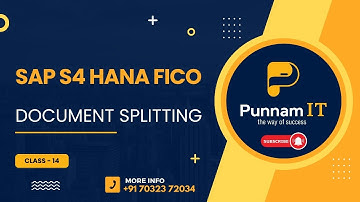 SAP S4 HANA FICO Document splitting Configuration Class 14