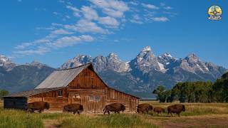 WYOMING: Places You Didn’t Know Still Exist | Travel Video 4K