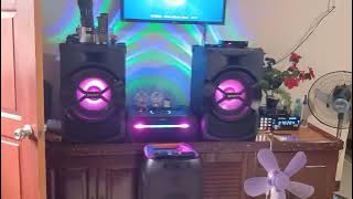Sony Shake X30D Insane Bass Test Volume 41/50 🔥🔥
