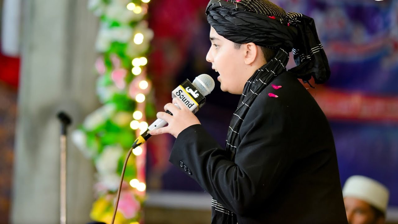 علامی شہرت یافتہ حافظ انس نذیر کی خوبصورت آواز میں کلام 