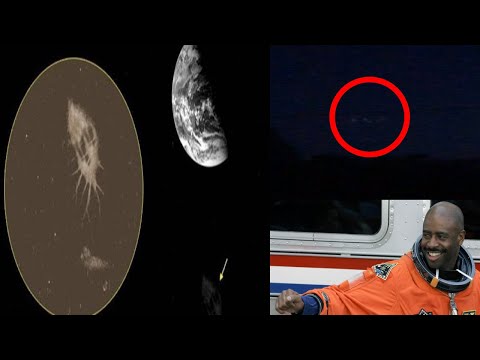 Video: Genom Glaset I En UFO Var Det För Första Gången Möjligt Att Se De Främmande Piloterna - Alternativ Vy