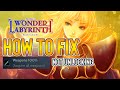HOW TO FIX &quot;Weapons 100%&quot; Achievement not unlocking | Deedlit in Wonder Labyrinth (PC/Steam)