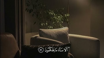 سورة النحل | القارئ : عبد الرحمَٰن مسعد ( وإذا بشر أحدهم بالأنثى)