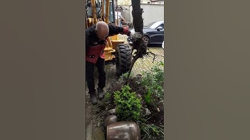 German Husband taking out the whole roots of an old tree #shortvideo #youtubeshorts #video #asmr