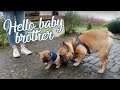 Vlog - Meet The Newest Member Of Our Family!