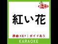 紅い花 (カラオケ) (原曲歌手:ちあきなおみ) Mp3 Song