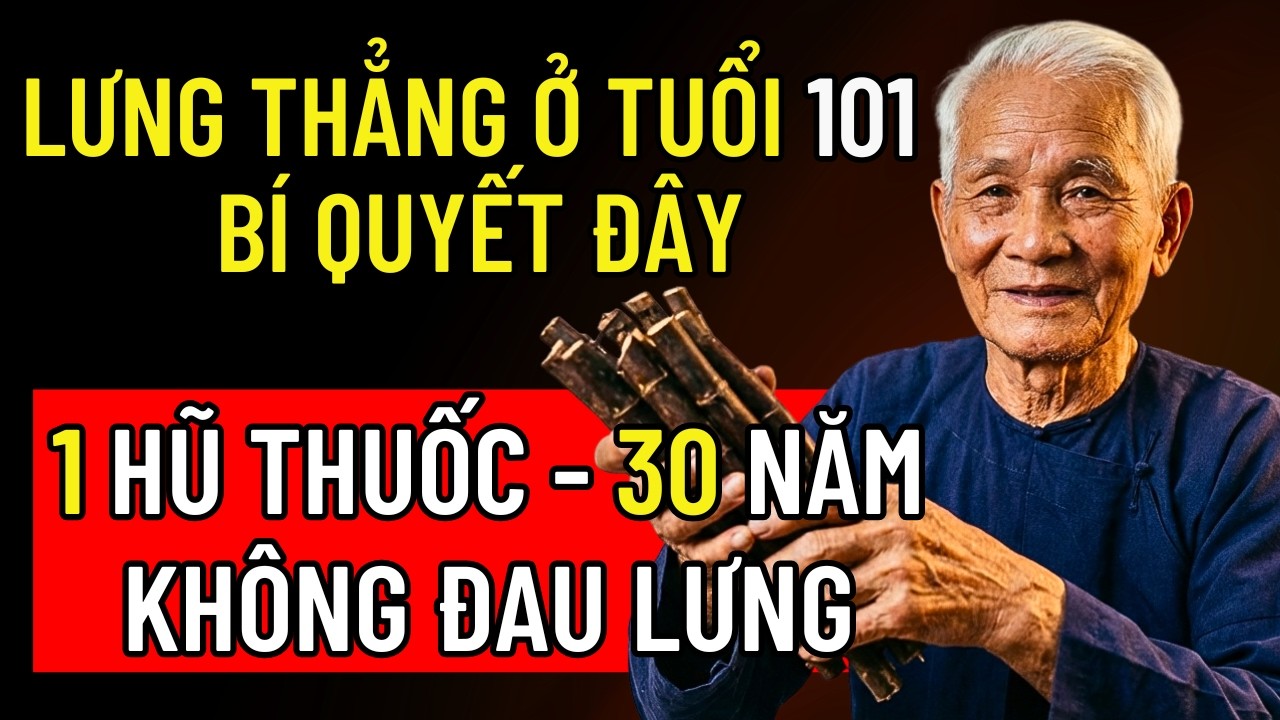 SỐC: RỄ LÁ TRẦU NGÂM RƯỢU - CỤ ÔNG 101 TUỔI GIÚP HẾT ĐAU LƯNG NGAY LẦN ĐẦU, NGỦ NGON!