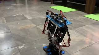 2legs 8dof biped robot version2(2)