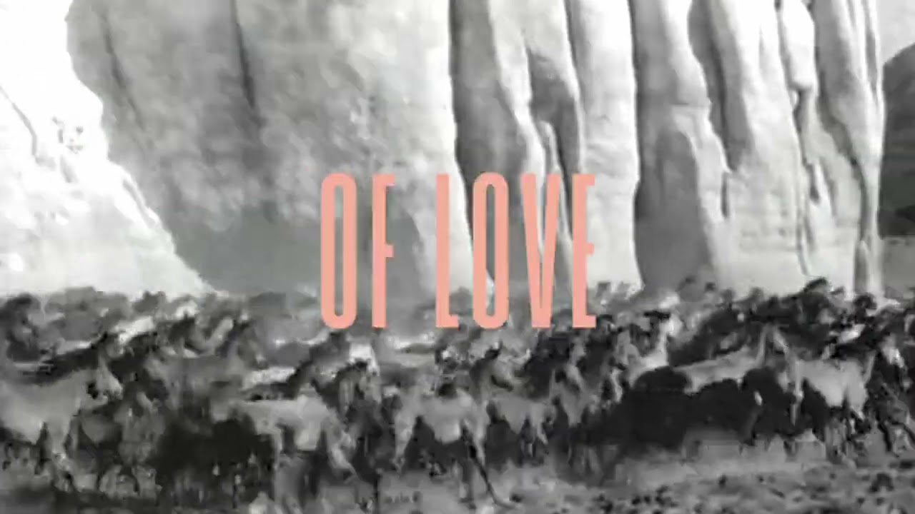 Little Bruises - The County Kissing Booth