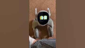 PLAYING WITH MY PET ROBOT