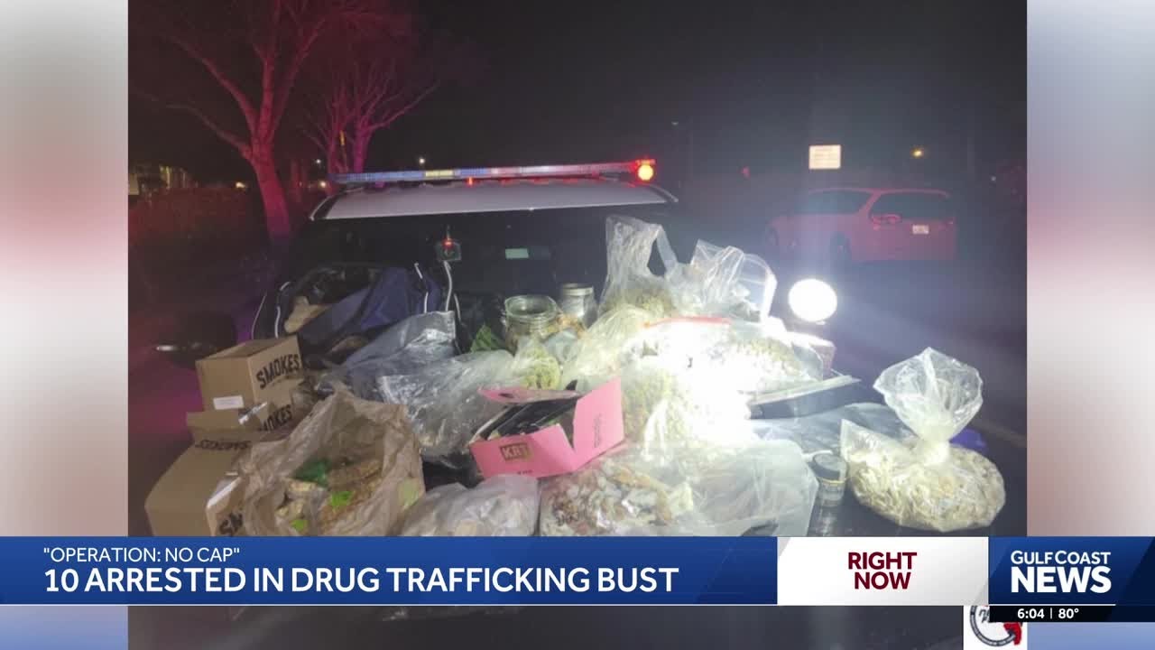 'Operation: No Cap': 10 arrested in drug trafficking bust