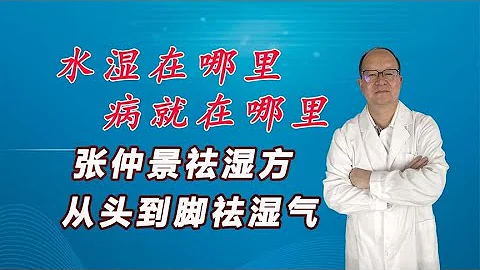 水濕在哪裡，病就在哪裡，張仲景祛濕只有5味葯，從頭到腳祛濕氣 - 天天要聞