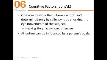 Sensation and Perception Chapter 6 (Part 1)