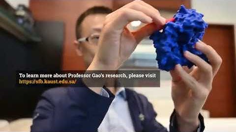 NucleicNET. AI reveals nature of RNA-protein interactions.