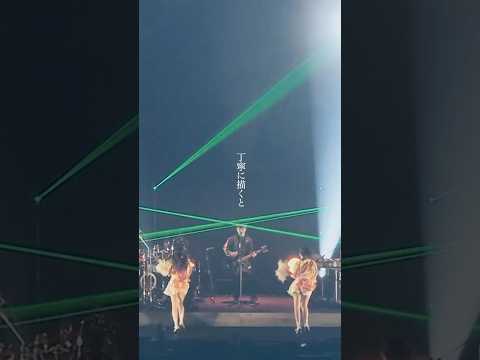 サカナクション Sakanaquarium2024turn 劇場版turn 新宝島 Sakanaction サカナクション Sakanaquarium2024turn 劇場版turn 新宝島 Sakanaction