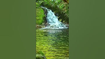 #القرآن _ الكريم #ماتيسر من سورة _ المائدة #اللهم صل وسلم وبارك على نبينا محمد