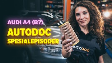 Hvordan bytte oljefilter og motorolje der på AUDI A4 B7 Sedan [AUTODOC-VIDEOLEKSJONER]