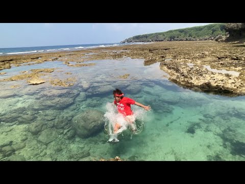 【沖縄の海に激おこダイブ】コロナ感染者激増してるのに、国会開かずステイホームすな！