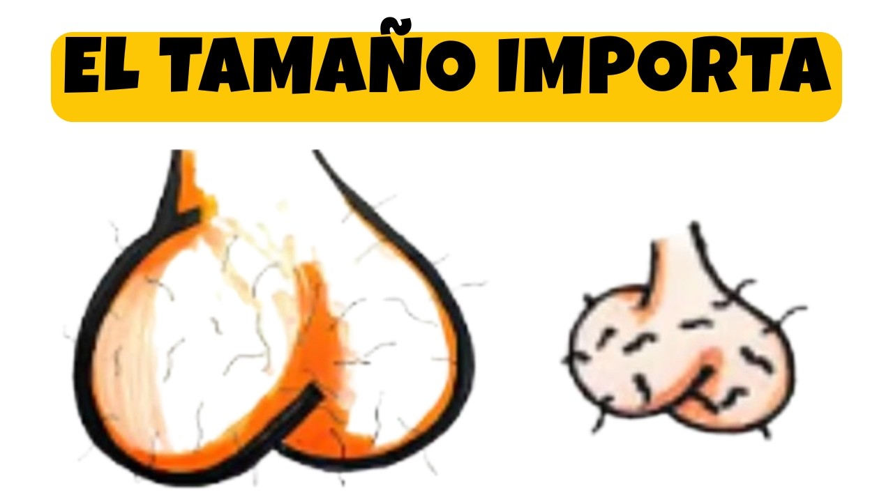 Lo que el Tamaño de Tu TESTÍCULO dice Sobre TU PSICOLOGÍA