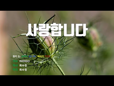 [은성 반주기] 사랑합니다 - INDIGO