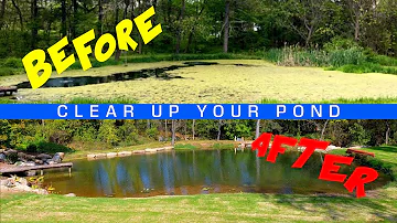 How To Clear Up Your Pond Water