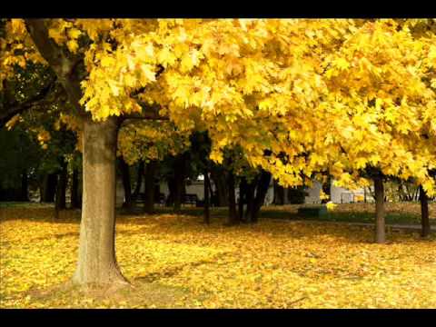 Mr. Acker Bilk - Autumn Leaves