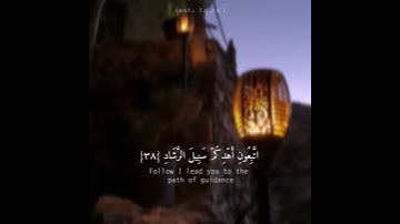 تلاوة القارئ احمد العبيد راحة للبال 😌💕